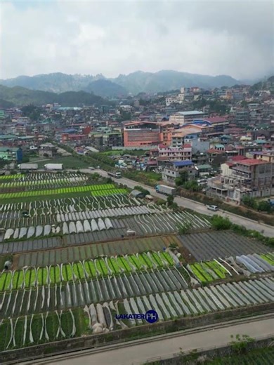 Baguio Strawberry Farm from Above | Hidden Terrace Views 🇵🇭