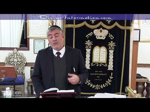 Real Torah Learning Vs Fake Learning (Includes A Few Shocking Stories And Other Topics)