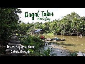 A Hidden Treasure - Welcome To Dagat Tabin Homestay [HD] // Borneo Eco Tourism at its best!