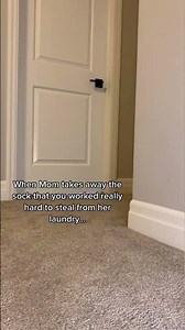 Teenagers amirite?!? #onthisday #kleptokobe #retrieverproblems #dogmom #tantrum