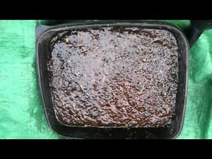 IMO 2 Indigenous how to make at home IMO Indigenous microorganisms made at home for soil