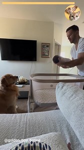 100K views · 3K reactions | Our first two weeks together 懶 | Animals Lovers | Facebook