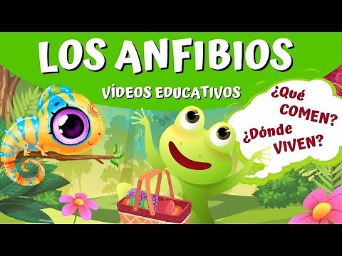 LOS ANFIBIOS. ¿Qué comen y dónde viven los anfibios?