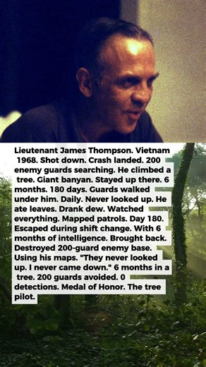 1 Pilot Was Missing for 6 Months: He Lived in a Tree to Avoid 200 Guards | Military History Talks