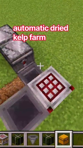 Simple Automatic Dried Kelp Farm in Minecraft! 🌾🔥 #Shorts