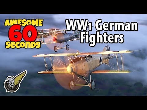 Three WW1 German Albatros Fighters In 60 Seconds