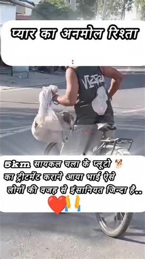 "भाई ने 5km साइकिल चला कर घायल स्ट्रीट डॉग प्लूटो का इलाज कराया 😢❤️ | सच्चे प्यार का अनमोल रिश्ता