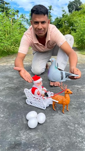 Agg Wla Pigeon Birds And Rc Santa ClausSleigh and Reindeer Gift🎁