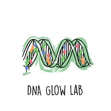 DNA Glow Lab: Exploring DNA Structure