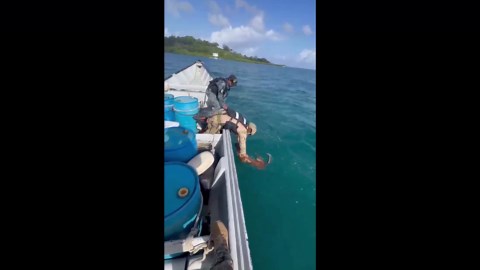 Navy officers rescue helpless dog in the middle of the sea