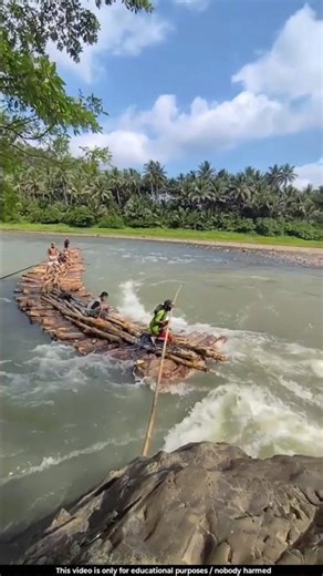 Illegal logging is carried out here 😱l #wood