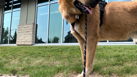 I’ll have a Jack on the rocks…