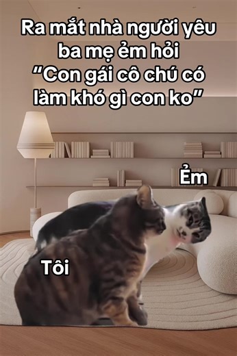 Dạ ko(kó) 😞#meme #pov #couple #cat #tet