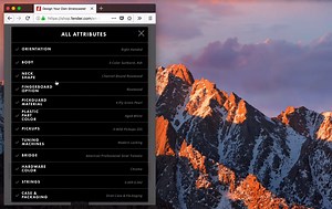 Fender Guitar Customizer