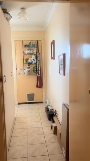 Australian Aboriginal Artist - Lewis Burns. on Reels