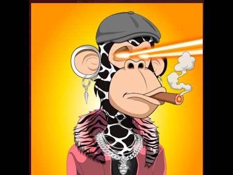 Backtesting Trading Strategies with Python and VS Code | Step-by-Step Tutorial