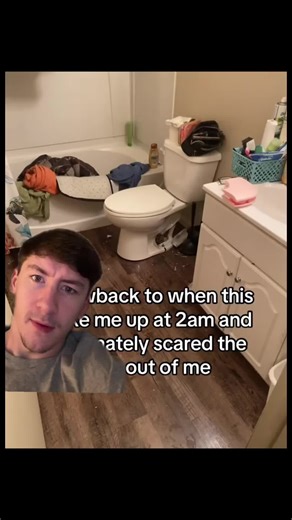 Surprising Snake Encounter in Toilet!