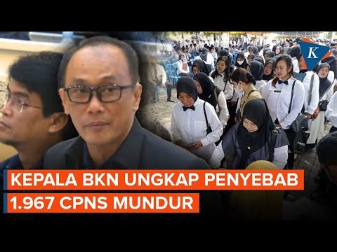 Ternyata Ini Penyebab 1.967 CPNS 2024 Mengundurkan Diri