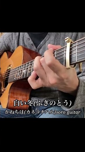 白い冬(ふきのとう)／かねちは(カネコチハル)soro guitar