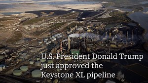 25K views · 218 reactions | U.S. President Donald Trump just approved the Keystone XL pipeline. He says it will create jobs and bring energy costs down. Environmentalists say it will be a disaster. | National Observer | Facebook