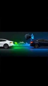 How tesla became a successful company?