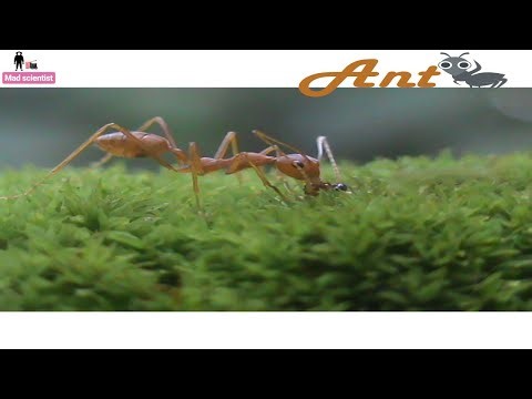 Retro Rewind: Top 5 Classic Arcade Games You Can Play Right in Your Chrome Browser