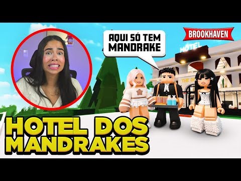 ENCONTREI OS MANDRAKES REUNIDOS NO HOTEL EM BROOKHAVEN 