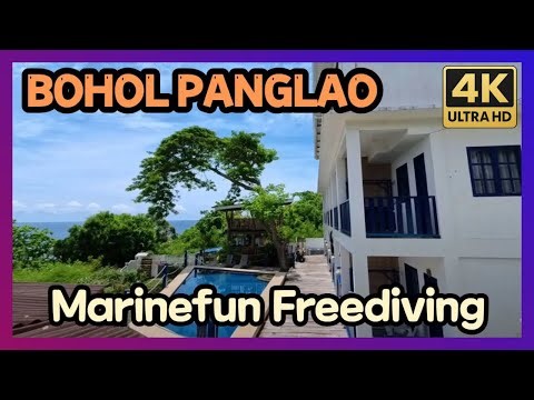 Marinefun Freediving Center Bohol – Training and Ocean Adventures in Panglao
