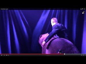 Behind the scenes of the circus. Circus animals in 2015.