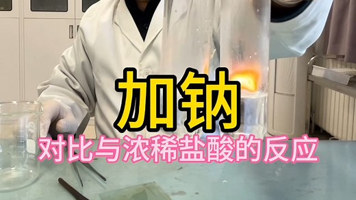 对比金属钠分别与浓稀盐酸的反应情况