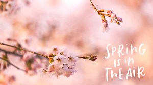 Spring is in the Air Live Wallpaper HD