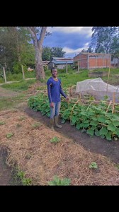 pour développer l' Afrique il faut développer son agriculture et l élevage #agrivision