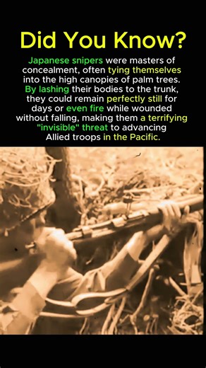 Why WWII Soldiers Feared the Invisible Ghost Snipers 🎯 #ww2history #pacificwar #ww2sniper