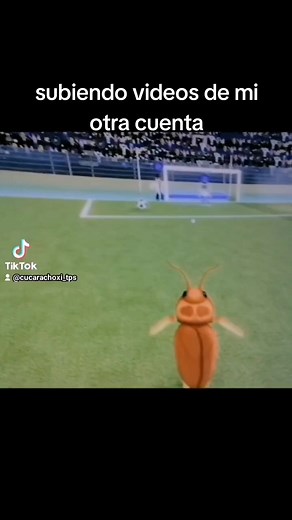 Videos de cucarachoxi_tps (@cucarachoxi_tps1) con “sonido original - cucarachoxi_tps”