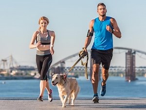 A Guide to Exercising with Your Dog