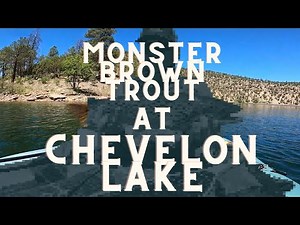 CHEVELON LAKE holds MONSTER BROWN TROUT