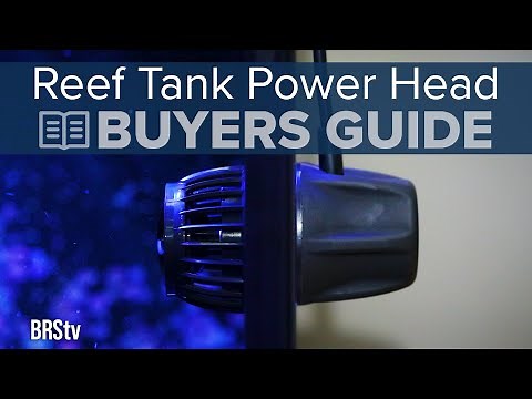 How to Pick the Right Aquarium Powerhead for Your Saltwater or Reef Tank. | BRStv Buying Guide