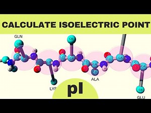 How to calculate isoelectric point of amino acid?| Calculating the pI of amino acid| GATE 2022 XL