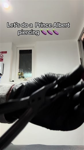 Are you getting one? #piercings #princealbert