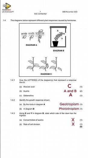 Life Science grade 12 NOVEmber exams 2025, paper 1 life sciences p 1 memo qn 1.4-1.5 memo grade 12