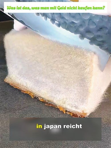 Was ist das, was man mit Geld nicht kaufen kann?#Fleisch #Essen #Gourmets #TikTokCreator #Lecker