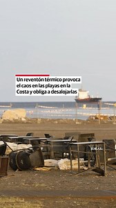 🌪️🌊 Caos en las playas de Granada Lo que empezó como un día de sol y sombrilla acabó en un auténtico reventón térmico: sombrillas volando, tablas de surf a la deriva, tornados en el horizonte y miles de personas desalojadas en apenas 20 minutos. Los socorristas de Calahonda, Salobreña, Torrenueva y Motril se vieron desbordados en una operación contrarreloj para rescatar a bañistas y vaciar las playas. 🔴 Un episodio tan breve como intenso que convirtió la costa granadina en un escenario de pel