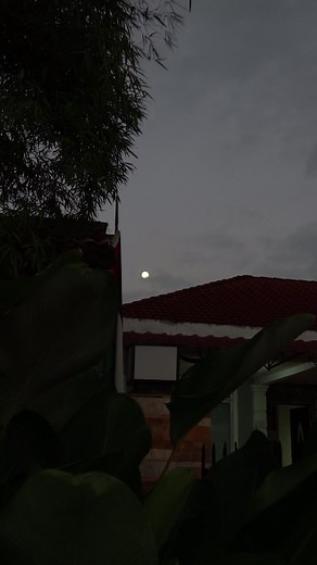 Mengapa Sony RX10 IV adalah Pilihan Terbaik untuk Fotografi