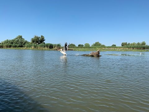 Delta Dunarii Romania