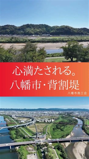 見ているだけで心が整う。京都・八幡の「初秋の背割堤」が美しすぎた。