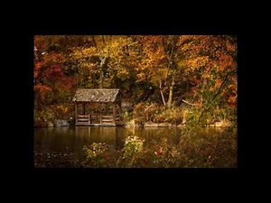 Les 4 saisons de Vivaldi - Automne - 1er mouvement Allegro - Musique classique