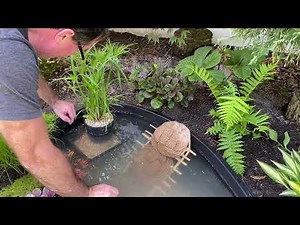 Making a Turtle Ladder For My Pond