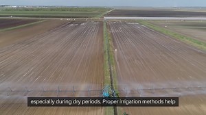 Fruit Tree Irrigation Methods