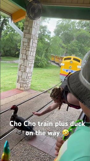 Train experience at San Antonio Zoo. Try it, it was fun!