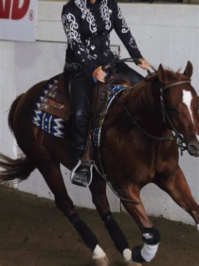 Wow! ORHA reining community you rock! Here is another amazing nomination from Hannah Linn for ORHA horse of the year!! Don’t forget to make your vote count by liking and sharing from the ORHA facebook page and instagram account @official_orha Who’s on Juice, better known as “Jesse”, was born and raised on our farm in Stayner, Ontario. He has been a part of a lot of “firsts” in our lives as he was the first foal that we raised, the first reining horse that Michelle Mailhiot trained and the horse 